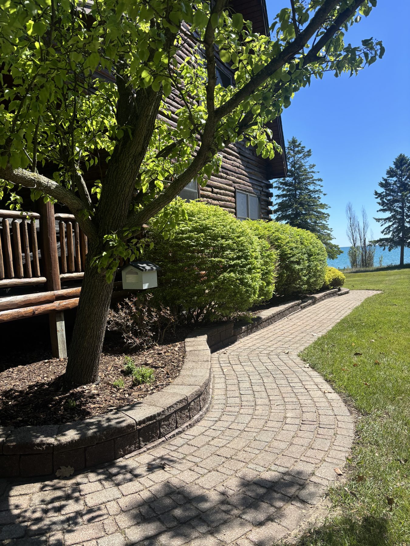 Curved paver walk and shaped foundation shrubs along a log cottage by the water