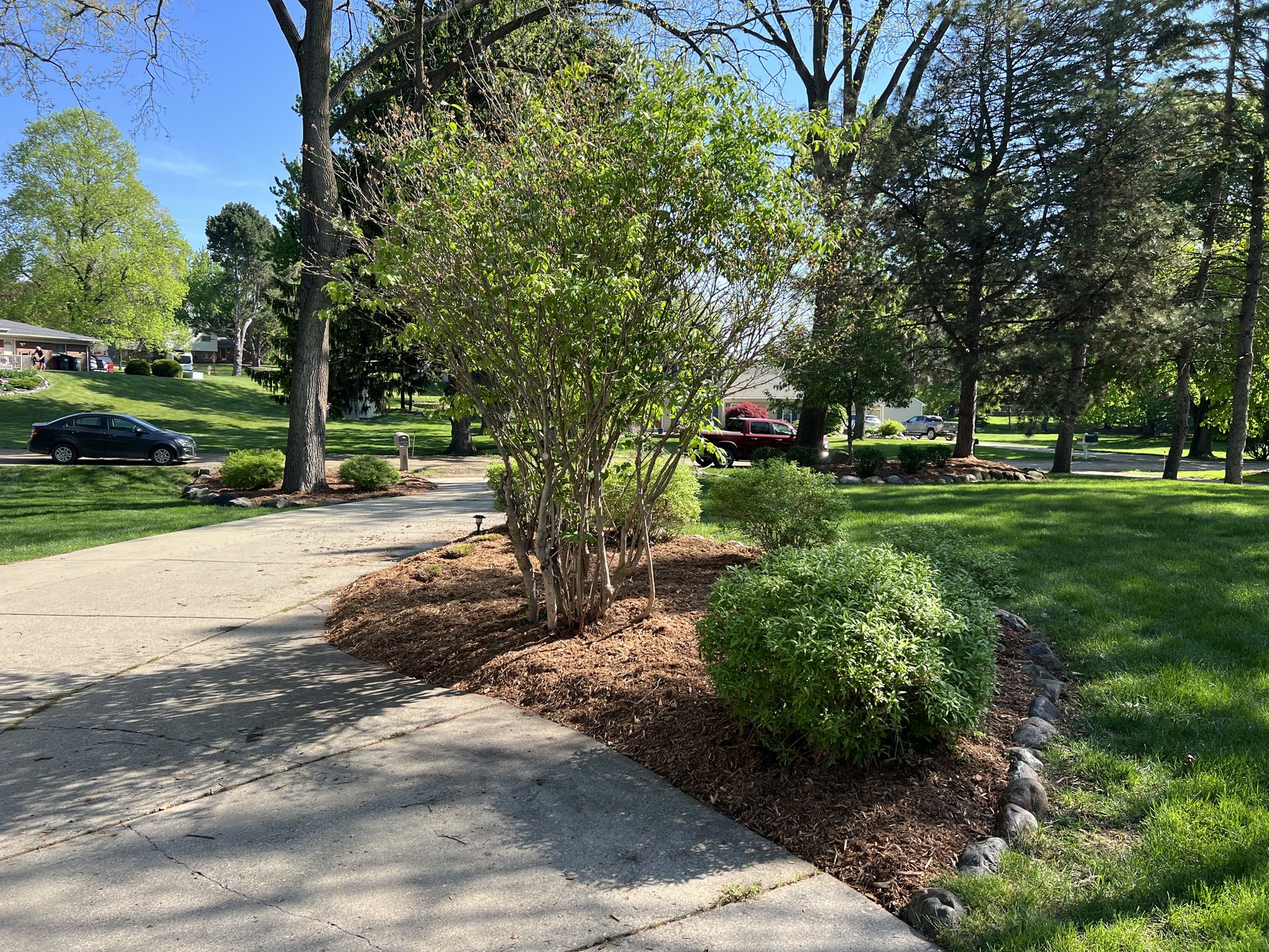 Bed Edging