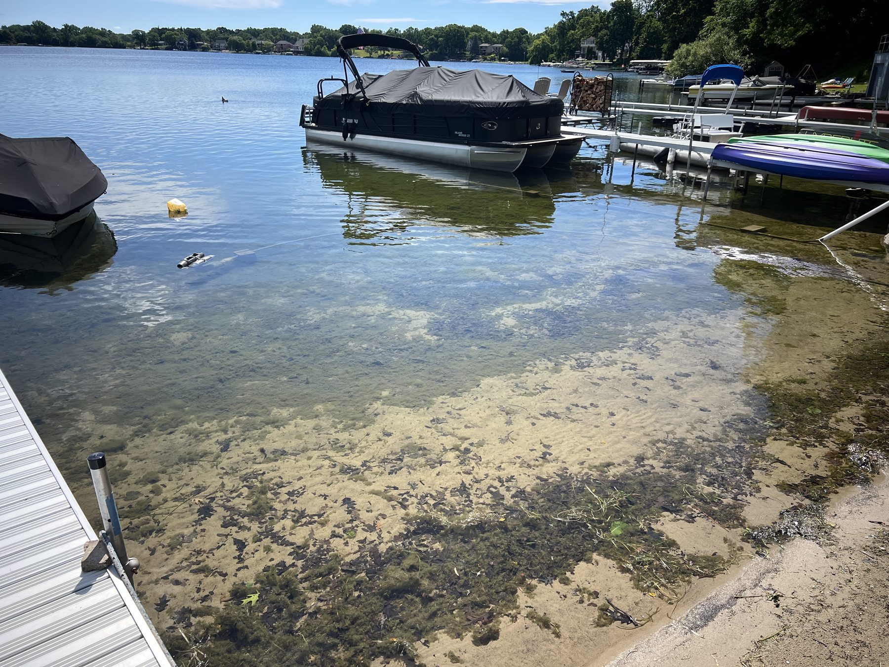 Lake-lot beach and dock after the shore was raked