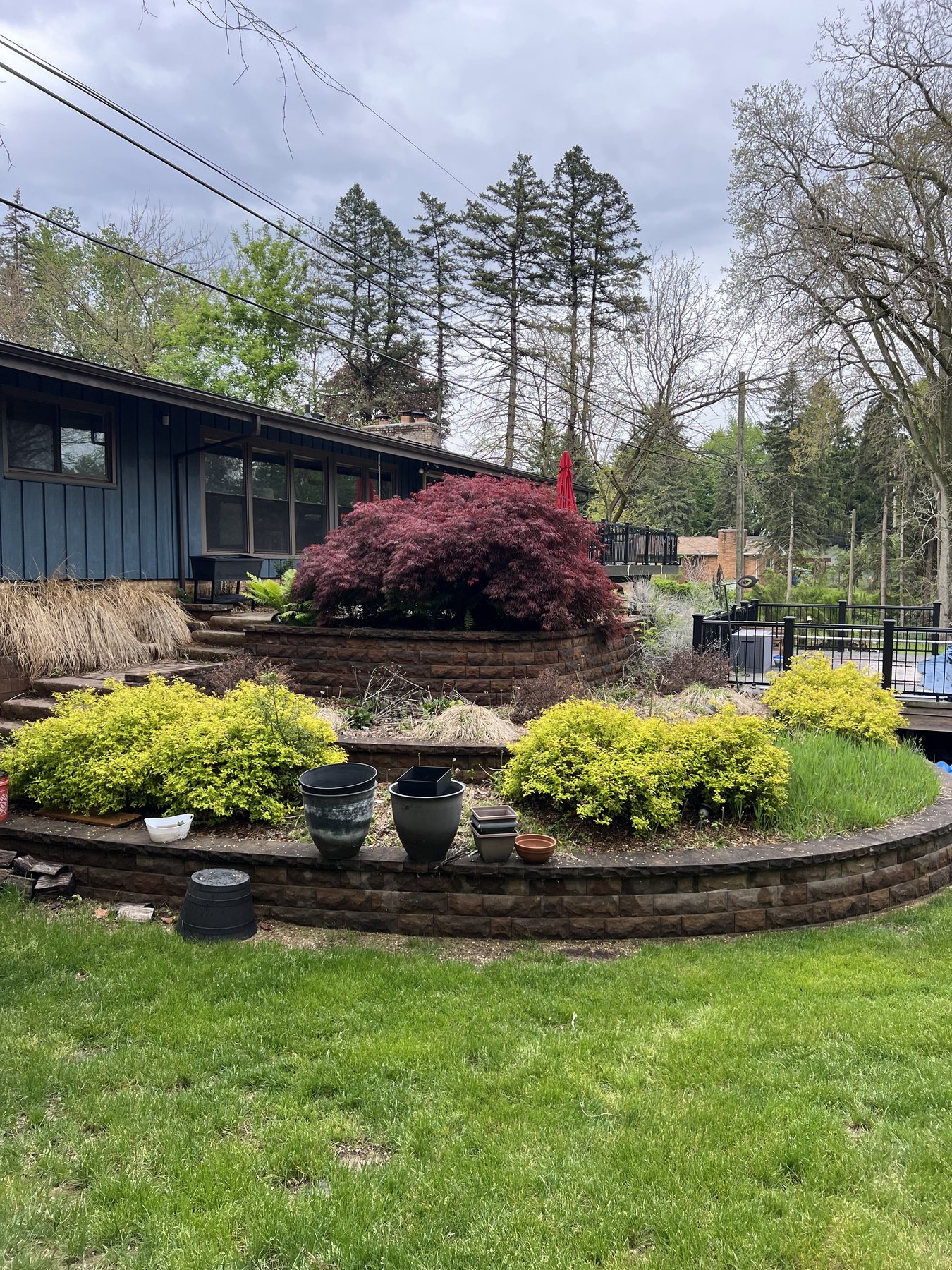 Terraced beds before mulch and cleanup